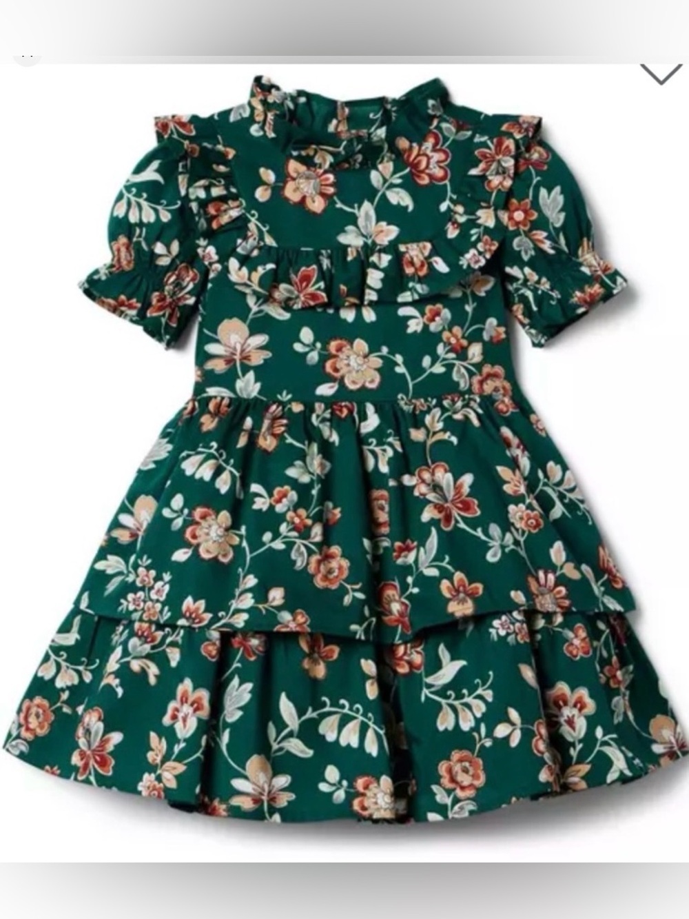 Janie and Jack Floral Ruffle Dress in Enchanted Forest Floral size 3